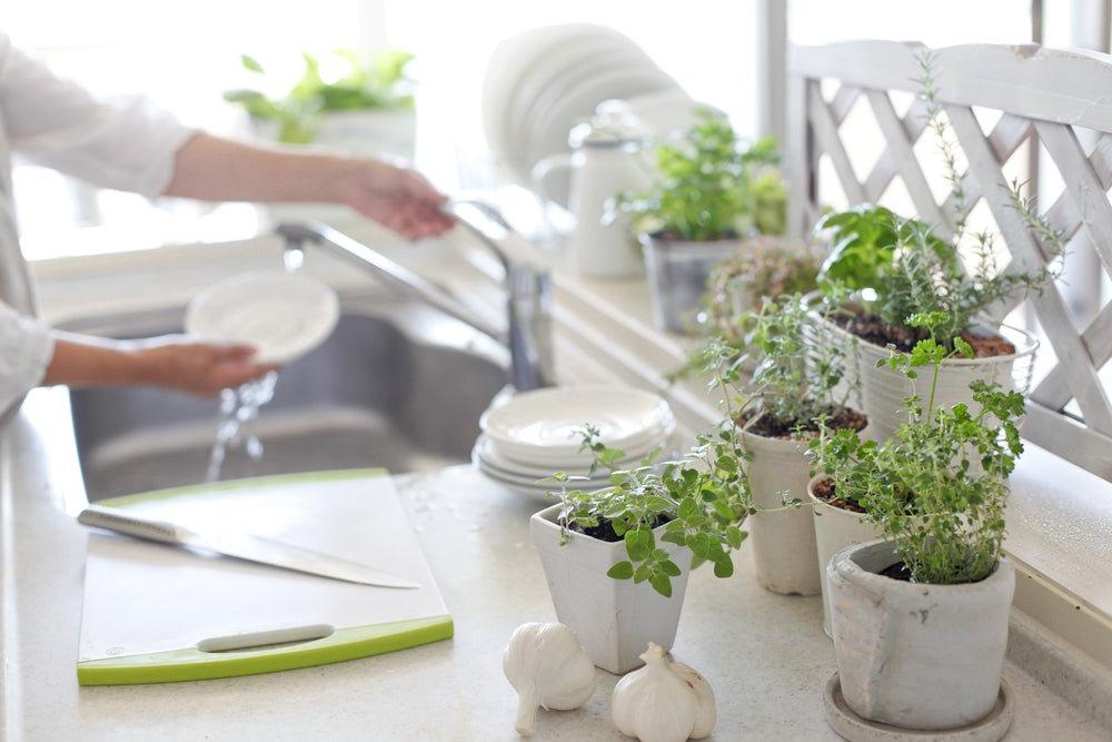 Grow an Indoor Herb Garden This Winter - Ritchie Feed & Seed Inc.
